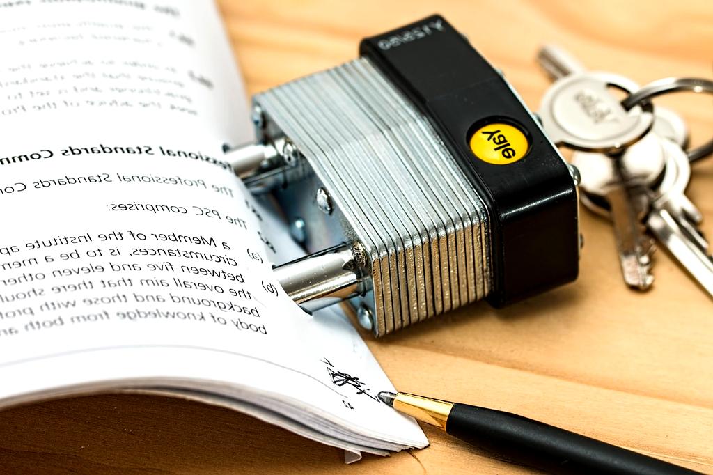 Wsparcie podczas kontroli ikonka